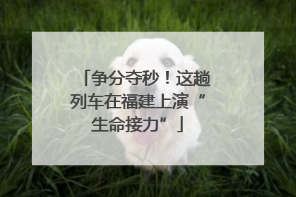 争分夺秒！这趟列车在福建上演“生命接力”